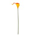 thumbnail image 1 of kurtrusly Artificial Floral Decor Home Office PU artificial Flower Wedding Ceremony Mini Artificial Flower, Orange Red, 1 of 7
