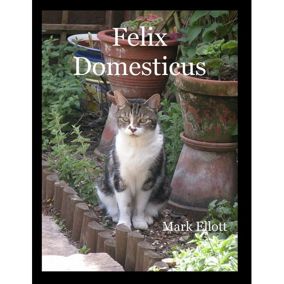 Felix Domesticus, (Paperback)