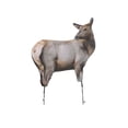 thumbnail image 2 of Montana Decoy RMEF Elk Decoy, 2 of 8
