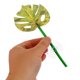 thumbnail image 5 of unbranded 6Ud Hoja Artificial Para Betta Con Natural Para Acuarios Y Ambiente De Crianza Decorativo, 5 of 8