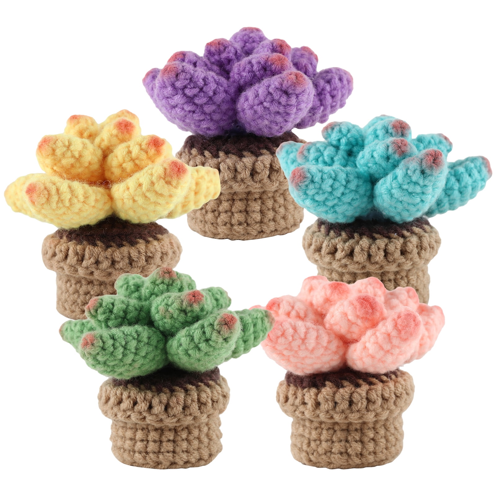 TENGYES Crochet Kit for Beginners - 5Pcs Succulents, Beginner Crochet  Starter Kits for Complete Beginners Adults and Kids, Crocheting Knitting  Kit