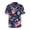 American flag, variant on HELLHERO Men's Short Sleeve Button Up Shirt for Travel Vacation, Moisture Wicking Quick Drying Men's Short Sleeve Button Down Shirt, Turtle Pattern