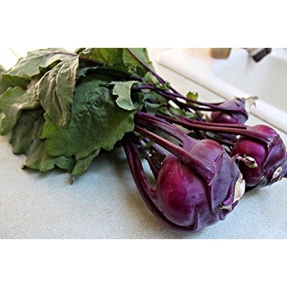 Kohlrabi Purple Vienna Great Heirloom Vegetable By Seed Kingdom BULK 25,000 Seeds