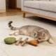 thumbnail image 2 of Juguete interactivo para gatos de interior con forma de espina de pescado, para la dentición y la limpieza dental, 2 of 5