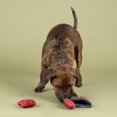 thumbnail image 2 of Juguete de peluche para perros Fringe Snack Attack 3 en 1 interactivo, 2 of 2