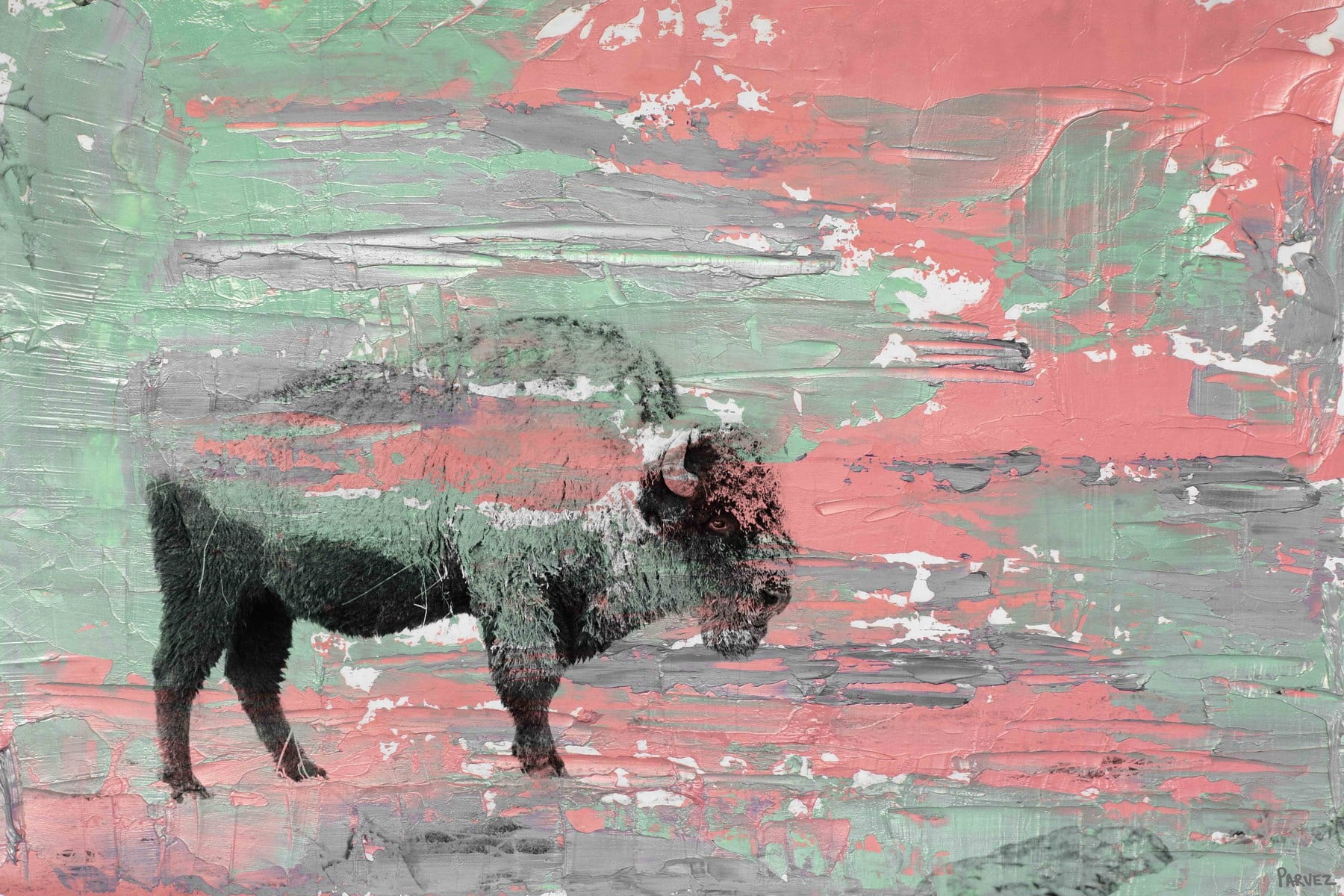 "Green Paint Buffalo" Painting Print on Wrapped Canvas