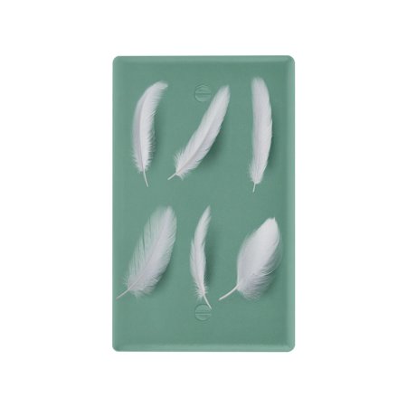 IAUYY Retardant PC Material Unused Outlet Cover Switch Plate Covers Easy DIY Installation with Screws Light Switch Cover Plate Isolated Green