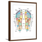 Art.com Reflexology Foot Map, Artwork Photographic Print by Peter Gardiner, Brown Frame Wall Art, 23" x 29"