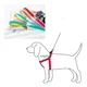 thumbnail image 1 of Correa Para Perros 4 Pzas Paquete De Correas, 1 of 7