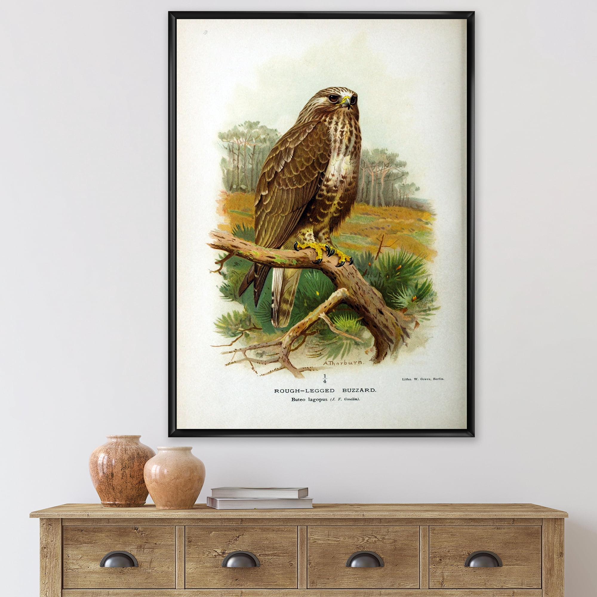 Designart 'Ancient Bird Life IX' Traditional Framed Canvas Wall Art Print
