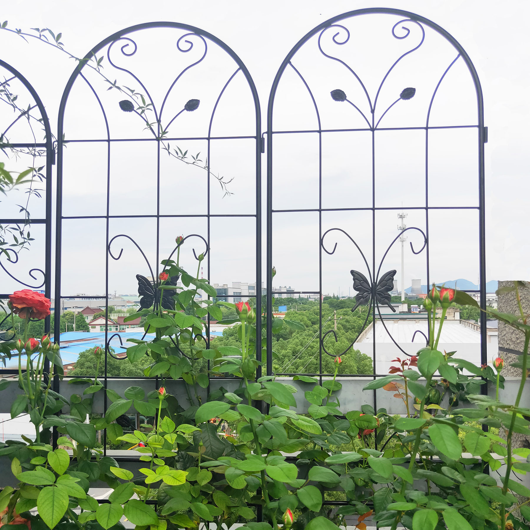 4 Pack Large Garden Trellis 86.7"H x 19.7" W Heavy Duty Rustproof Black Iron Plant Trellis for Potted Plant Support Metal Climbing Rose Trellis Vine Vegetable Cucumber
