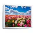 thumbnail image 3 of Designart "Tulip Tapestry Pink and Yellow Beauty" Extra Large Floral Framed Wall Art - Traditional Pink Tulip Entryway Framed Wall Art, 3 of 7