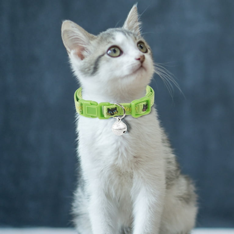 Bespoke cat clearance collars