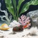 thumbnail image 1 of CHICHUMID 3Ud Ornamentación De Hueco Para Acuario Refugio Para Peces Y Camarones, 1 of 7