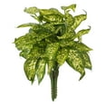 thumbnail image 4 of Vickerman 11" Artificial Green Polyester Dieffenbachia Bush, Set of 3, 4 of 5