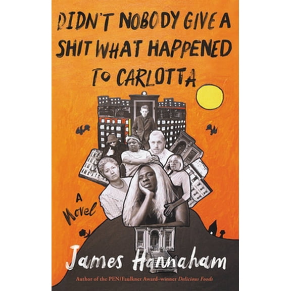 Pre-Owned Didn't Nobody Give a Shit What Happened to Carlotta (Hardcover) 0316285277 9780316285278