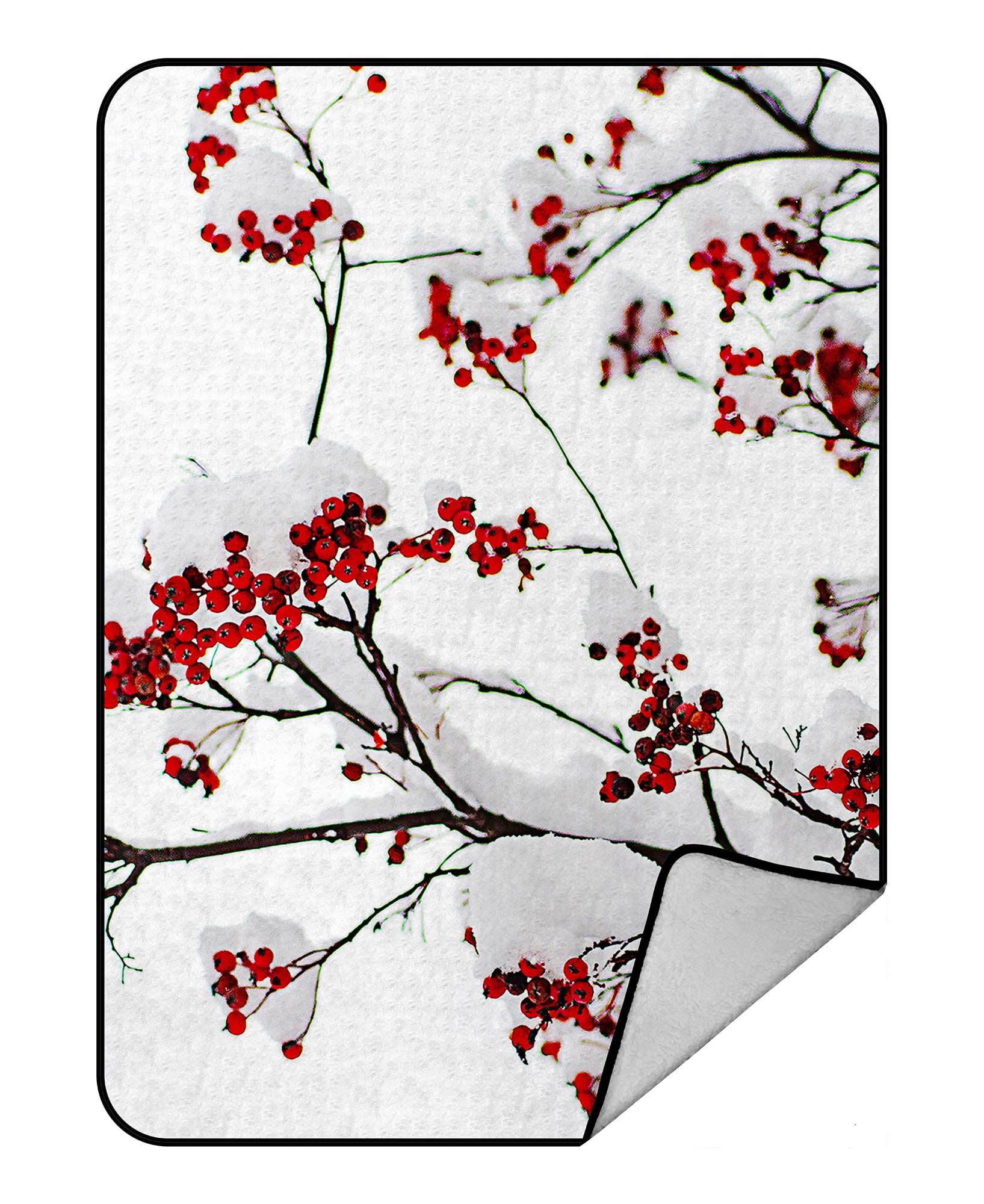 YKCG Winter Season Landscape Clusters of Red Rowan Berry under the Snow