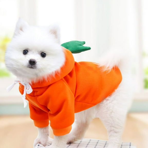 Dog Cat Fruit Colors Winter Hoodie Sweater Polyester Teddy Clothing Pet Supplies