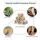 thumbnail image 3 of Esponja de ducha Loofah natural Luffa orgánica exfoliante baño loofa cuerpo depurador para hombres mujeres adultos cara trasera cuidado de la piel spa-6 piezas Feliz Sencillez, 3 of 5