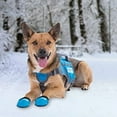 thumbnail image 2 of Outward Hound Thermovest Dog Vest Blue - X-Small - Dogs 5-15 lbs - (21" Max. Chest Girth), 2 of 2