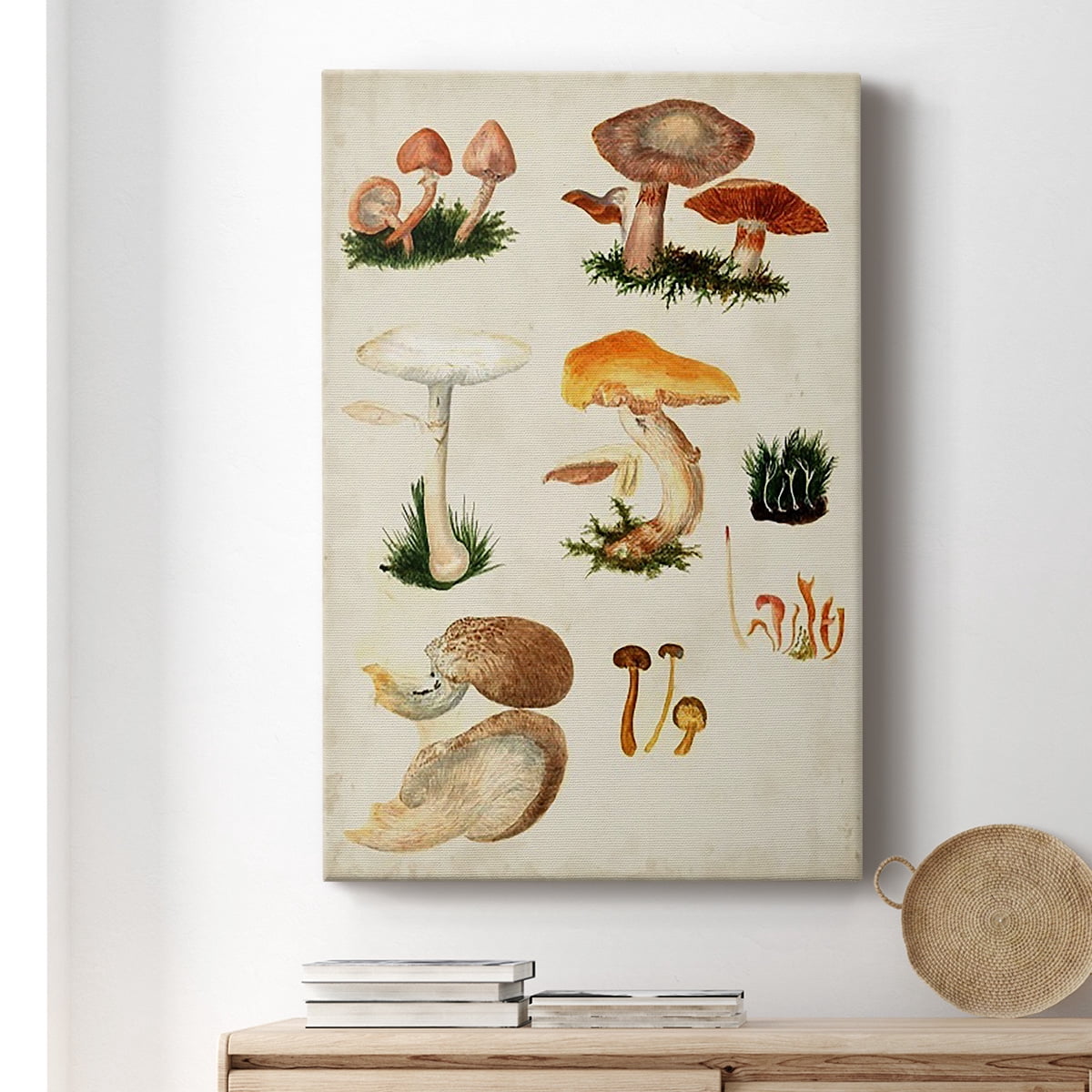 Mushroom Species IV Premium Gallery Wrapped Canvas - Ready to Hang