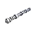 thumbnail image 3 of Compétition Cams 54-601-11 Arbre à Cames Thumpr (TM), 3 of 3