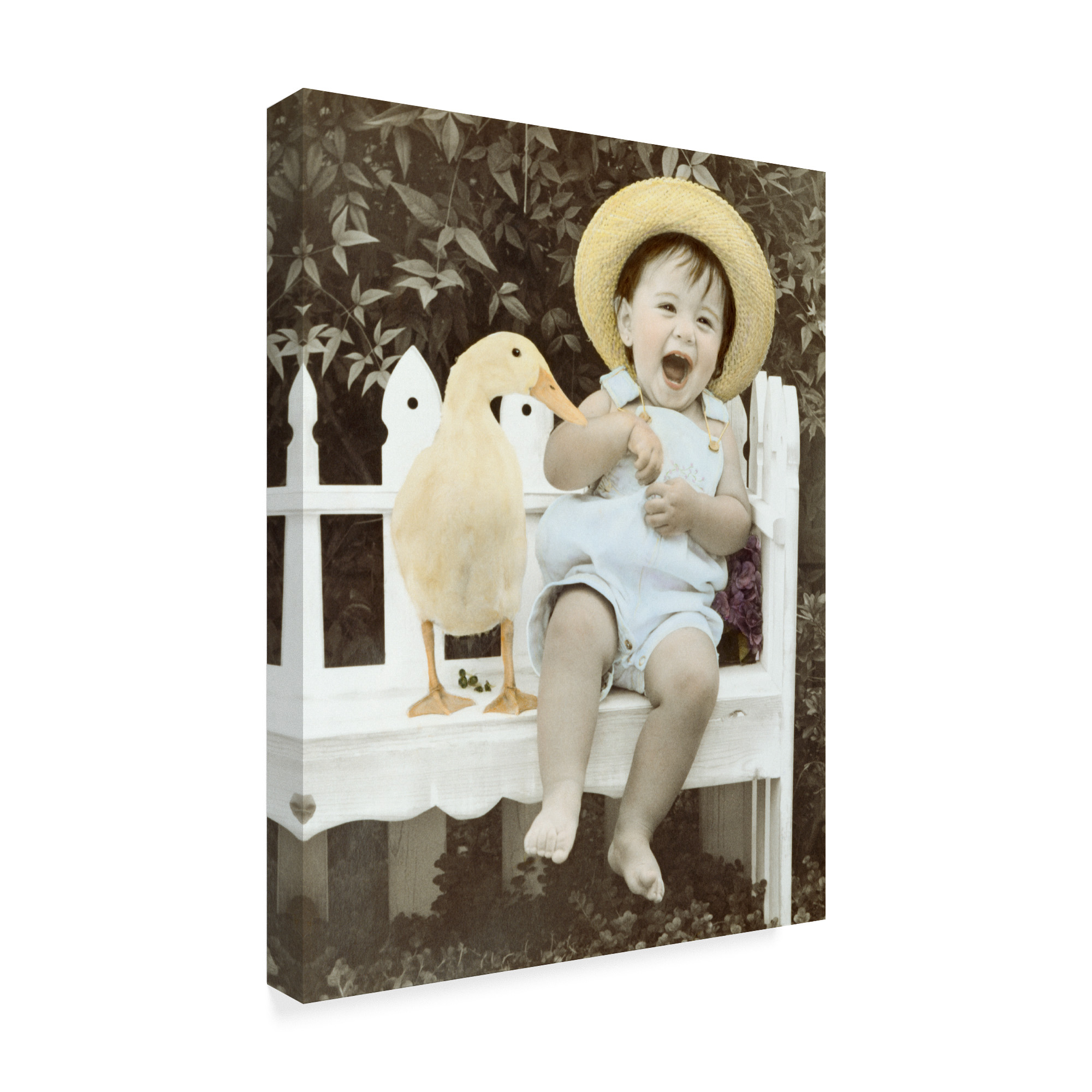 Trademark Fine Art 'Quacking Up' Canvas Art by Sharon Forbes