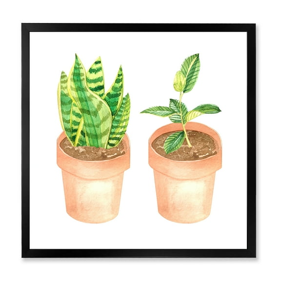 Designart 'Ficus and Sansevieria Indoor Green Home House Plants' Traditional Framed Art Print