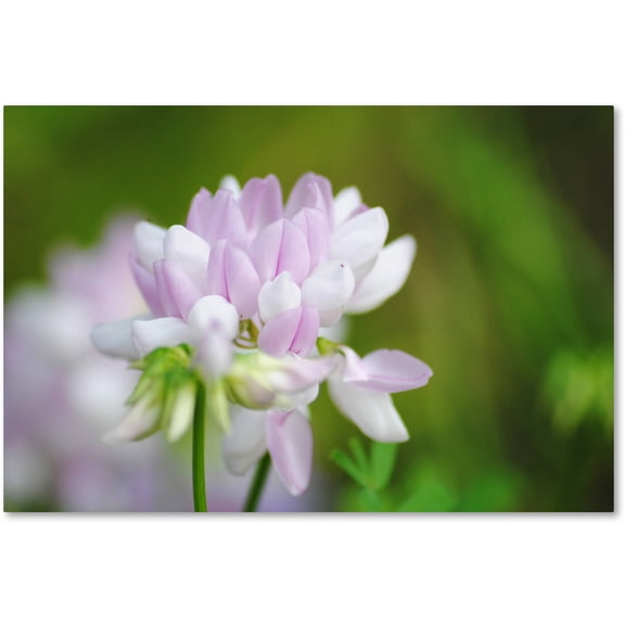 Trademark Fine Art "Calm Heart" Canvas Art by Monica Mize