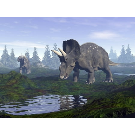 Non Puddle Light - Two Nedoceratops dinosaurs walking to water puddle in the morning light Poster Print