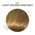 thumbnail image 3 of Clairol Professional Beautiful Advanced Gray Solutions, 6g Light Golden Chestnut, 3 oz, 3 of 3