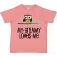 thumbnail image 3 of Inktastic Grammy Loves Me Grandchild Owl Girls Toddler T-Shirt, 3 of 5