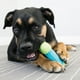 thumbnail image 2 of Hueso CoreStrength Limpieza Unitalla Juguete Perro KONG PFC31, 2 of 2