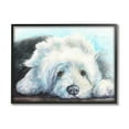 thumbnail image 5 of Stupell Industries Fluffy Old English Sheepdog Puppy Resting Black Framed, 24 x 30, Design by George Dyachenko, 5 of 5