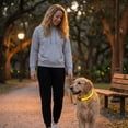 thumbnail image 6 of Waterproof LED Dog Collar with Reflective Strip – Glow in The Dark Night Light Pet Safety Collar,Heavy Duty Nylon Adjustable Fit for Small Medium Large Dogs Yellow, 6 of 7