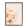 thumbnail image 2 of Stupell Industries Unique Florals Blooming Bleach Blonde Petals Abstract Photography, 16 x 20,Design by Renee W. Stramel, 2 of 5