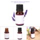 thumbnail image 3 of Essential oil fragrant essential oil plant essential oil Natural Fragrant Plant Essential Oil Relieve Fatigue Improve Sleep 10ml Lavender ANGGREK Otros, 3 of 6