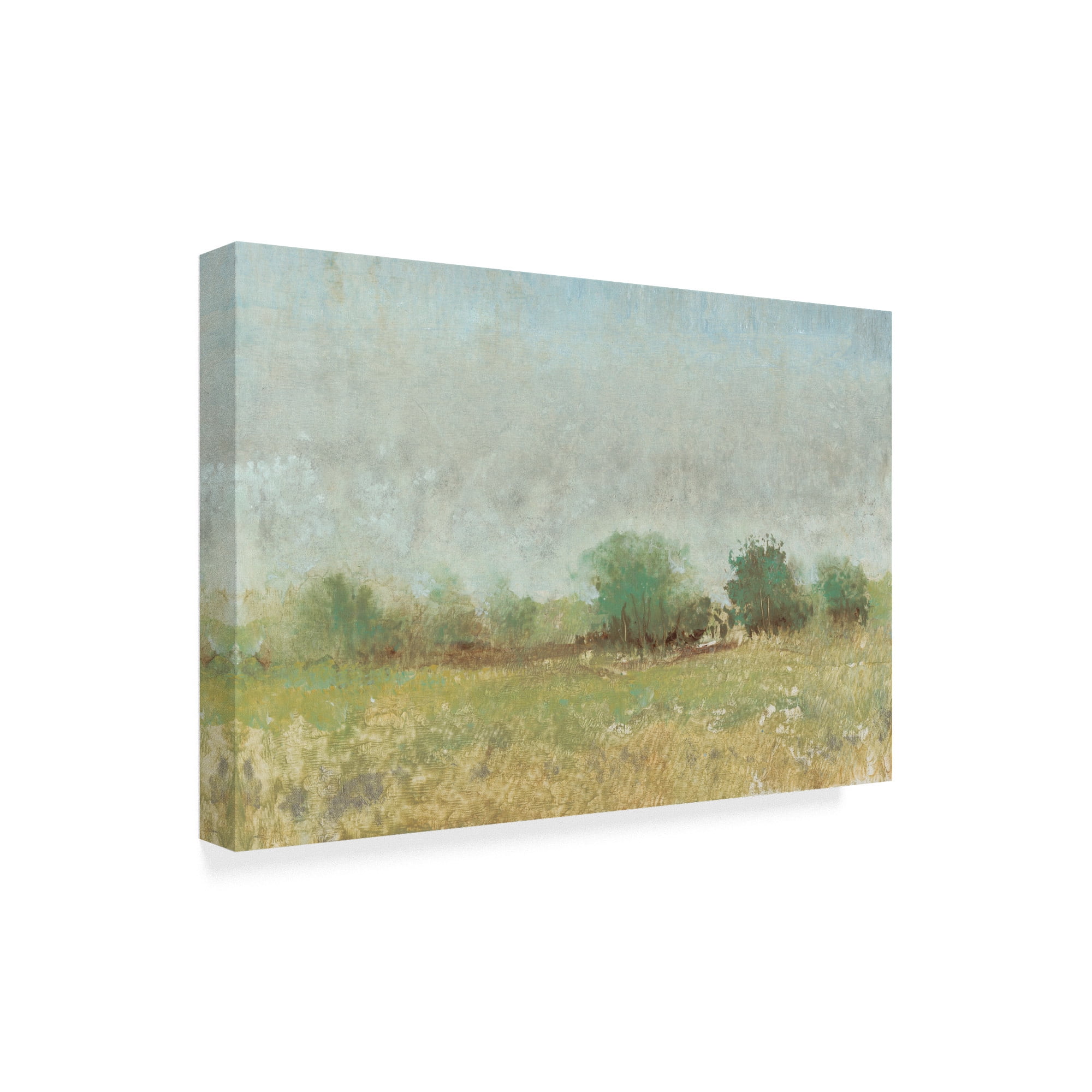 Trademark Fine Art 'Spring Field II' Canvas Art by Tim OToole