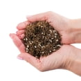 thumbnail image 5 of Gardenera Labs Fern + Perlite Soil Mix for Repotting and Planting Succulents and Cactuses - 4 Quart Bag, 5 of 6