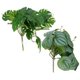 thumbnail image 1 of TABLETREANDS 2Ud Artificiales Con Ventosa Para Terrario Y Acuario Natural Para Reptiles, 1 of 6
