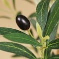 thumbnail image 4 of DR.Planzen 5' Artificial Olive Tree Indoor, Tall Faux Olive Tree, Artificial Plants with Natural Wood Trunk and Lifelike Fruits for Home Office Decor, 4 of 12