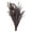 Frosted Red - 8 Oz, variant on CalCastle Craft California Grown Natural Dried Preserved Eucalyptus Branches Bundles of Stems and Leaf Large 30" Tall Bulk 1 LB / 8 OZ (Washed Red - 8 oz)