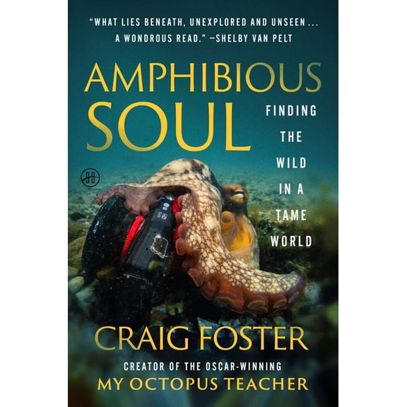 Amphibious Soul: Finding the Wild in a Tame World, (Paperback)