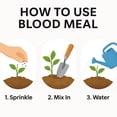 thumbnail image 5 of ⭐ 𝐁𝐄𝐒𝐓𝐒𝐄𝐋𝐋𝐄𝐑 Organic Blood Meal Fertilizer by Gardenera Labs - 12-0-0 NPK - All-Natural Plant Food Source of Nitrogen for Organic Gardening, Flowers, Vegetables, Trees & Shrubs - 4 QUARTS, 5 of 9
