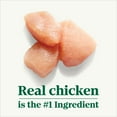 thumbnail image 4 of Nutro Hearty Stew Natural Cuts In Gravy Cuts In Gravy Tender Chicken Stew Adult Wet Dog Food, 12.5 Oz Can, 4 of 14