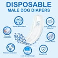 thumbnail image 3 of pañales desechables para perros Dono Male, 60 unidades, pequeños, 12 a 19 cm, 3 of 7