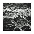 thumbnail image 3 of Crab in Impressionism - Canvas, 3 of 25