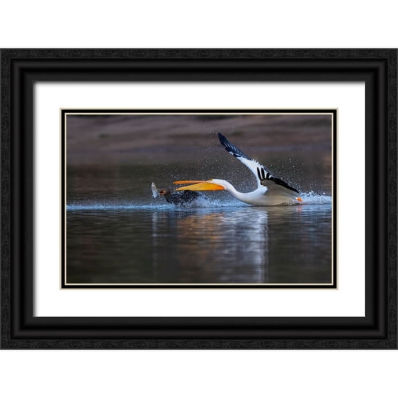 Tseng, Judy 14x10 Black Ornate Wood Framed with Double Matting Museum Art Print Titled - Gimme The Fish!