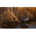 thumbnail image 2 of Goebel, Wilhelm 18x12 Gold Ornate Wood Framed with Double Matting Museum Art Print Titled - Evening Light - Snipe, 2 of 4