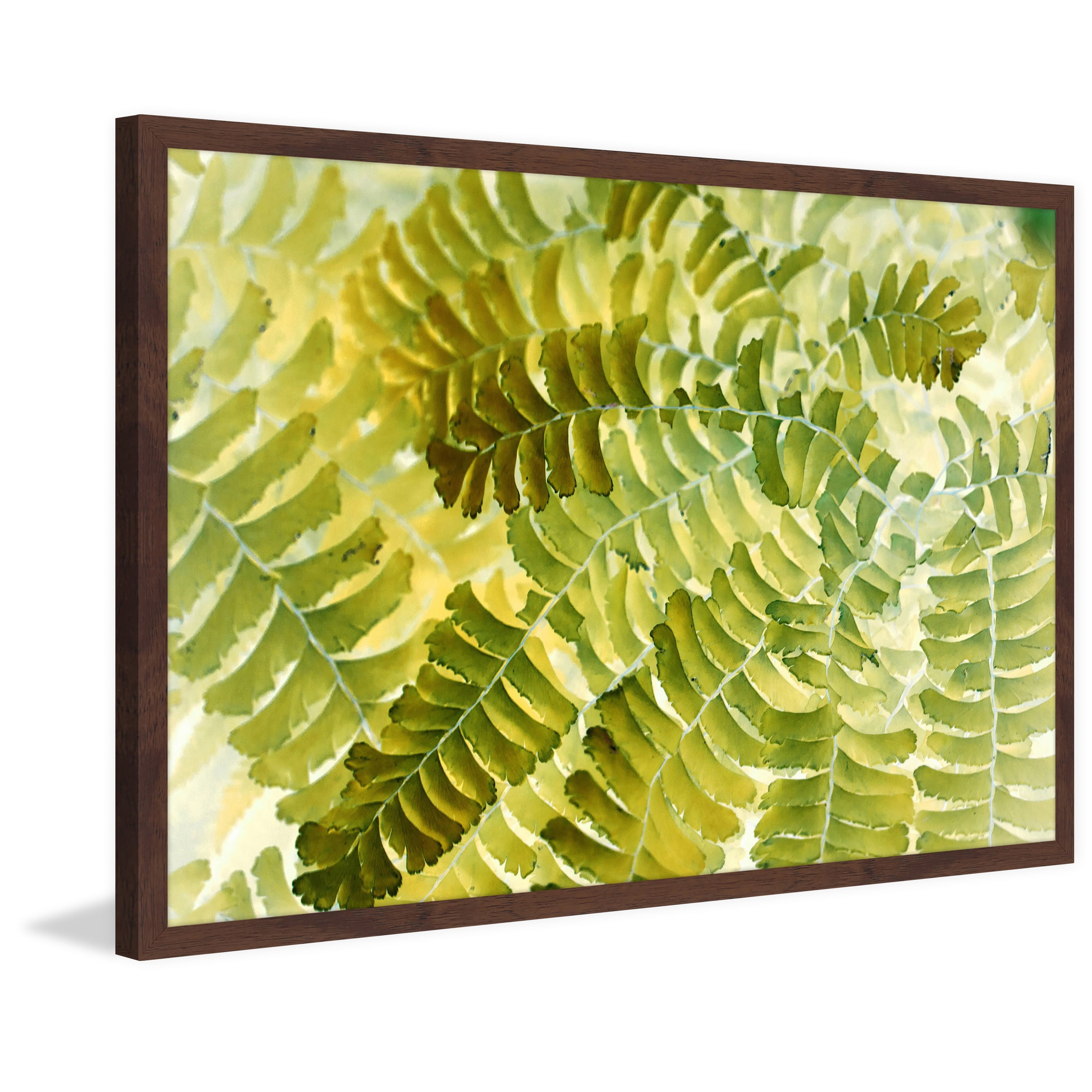 "Fern Fantasy II" Framed Painting Print